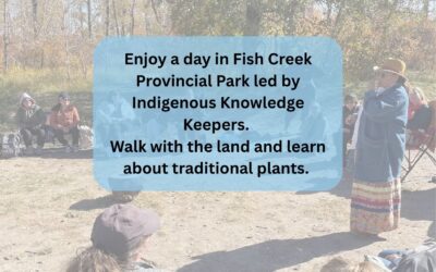 AFCC Family Cultural Walk